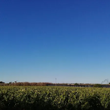 Tenuta Perruzzi * Leverano