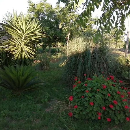 Tenuta Perruzzi